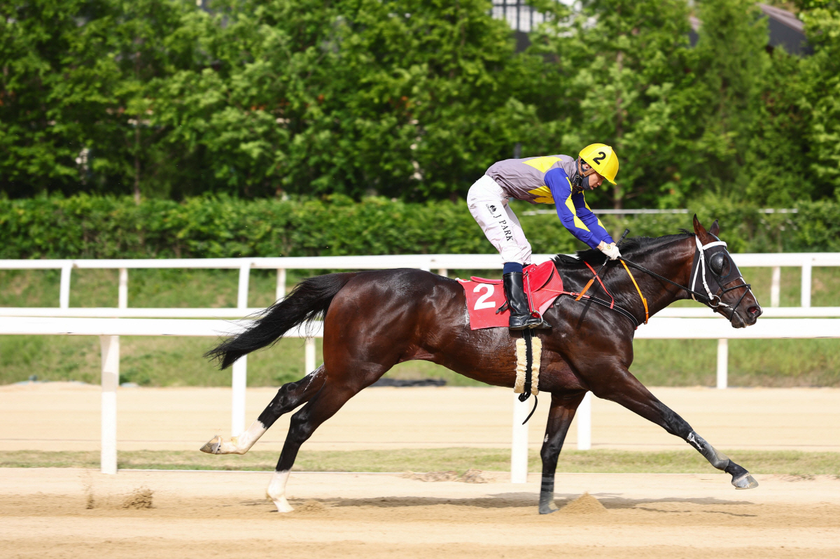 [경마]스테이어(Stayer) 시리즈 제2관문, 제23회 YTN배(G3)…