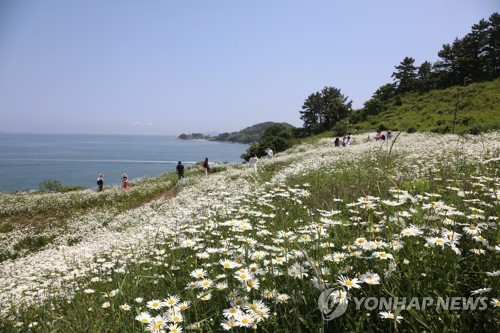 야생화 가득했던 부안 변산마실길 1코스 폐쇄…우회로 운영