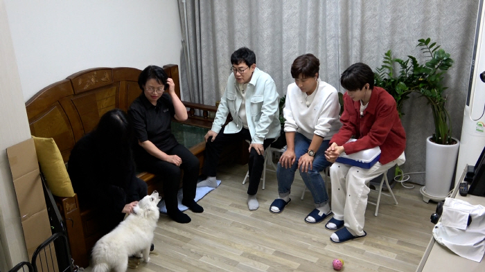 “겁쟁이 정동원, X팔려!” JD1 파격 발언→고민견 앞에서 무반주 댄스…