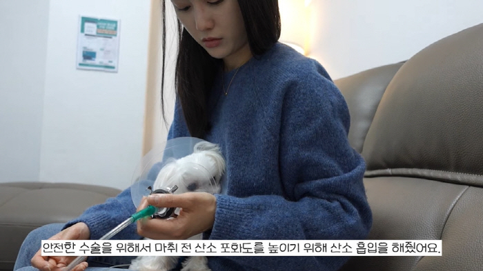 남보라, 반려견 전체 발치에 눈물..."번식장 있을때 잇몸뼈 다 녹아" …
