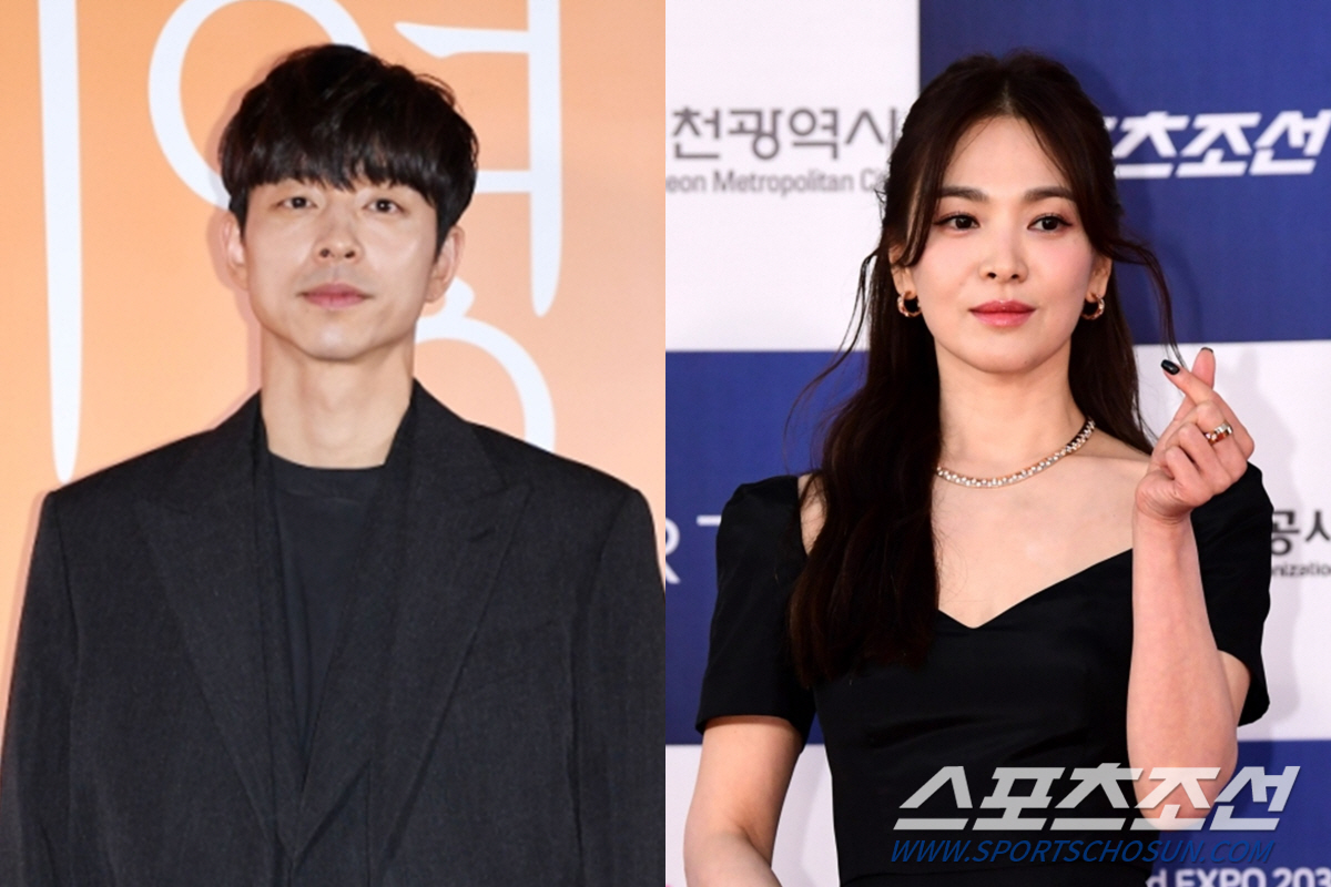 [공식] 공유, 송혜교와 호흡 맞출까…"노희경 작가 신작 검토 중"