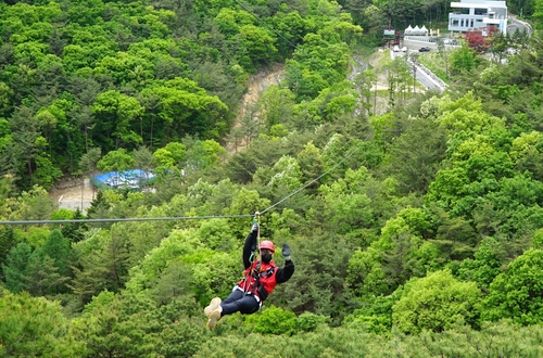속리산 산림레포츠시설 내달 1일 재개장