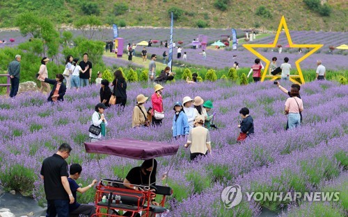 [연합뉴스 자료사진]