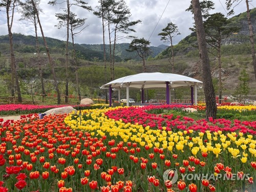 [연합뉴스 자료사진]