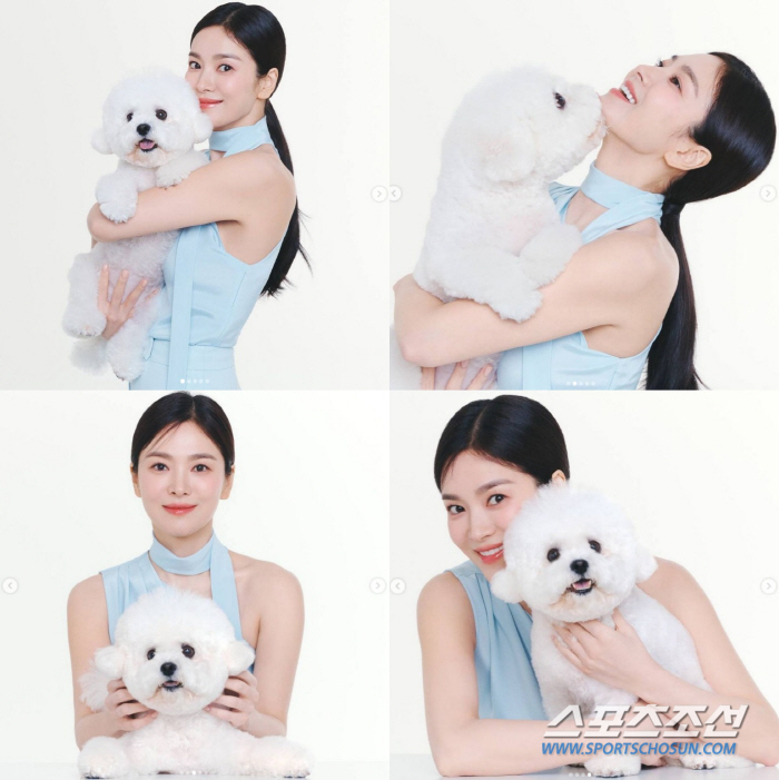 "둘이 닮았어요" 송혜교, 반려견 루비 안고 美친 미모 뽐내