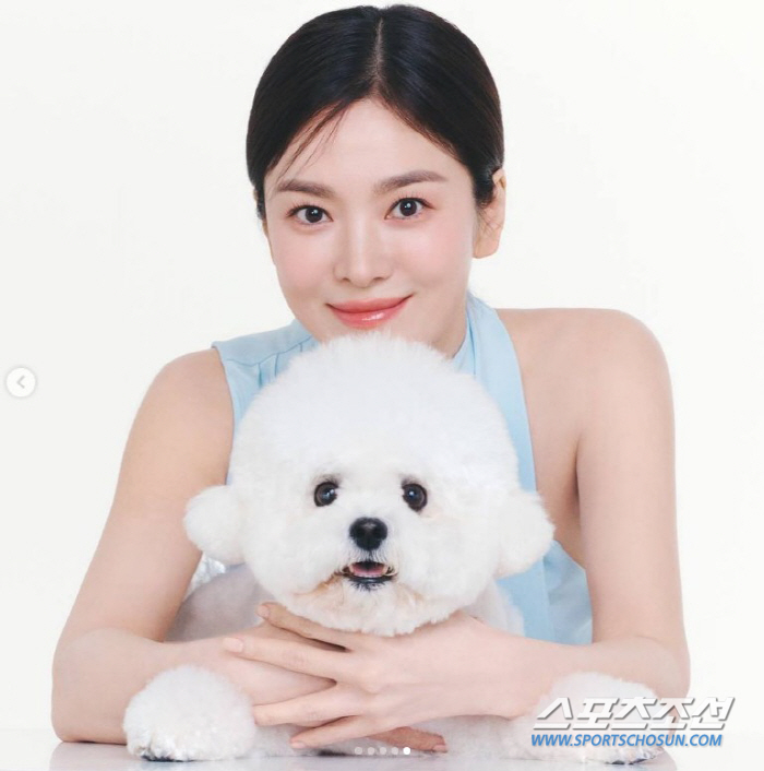 "둘이 닮았어요" 송혜교, 반려견 루비 안고 美친 미모 뽐내