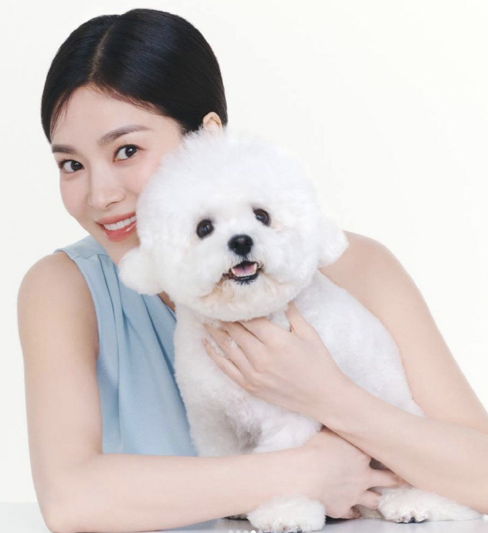 송혜교, 이게 A컷이 아니라고? 쉬는 시간도 화보가 되는 미모