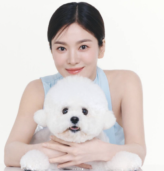 송혜교, 이게 A컷이 아니라고? 쉬는 시간도 화보가 되는 미모