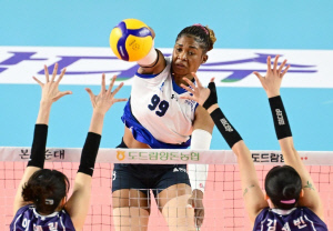 女프로배구 외국인 트라이아웃, 7∼9일 UAE서 개최…모마·윌로우 참가
