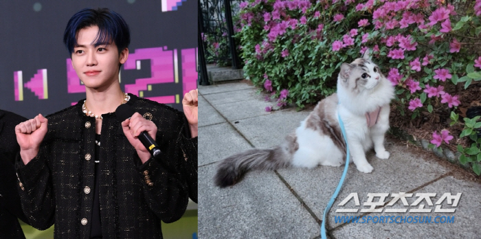 NCT 재민이 쏘아올린 반려묘 산책 사진에 팬들 설전 "고양이 학대 vs…