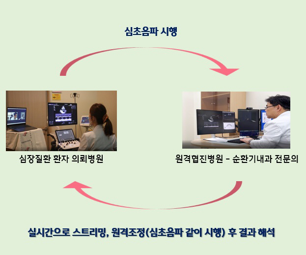 한림대동탄성심병원, '심장질환 원격협진 플랫폼' 발표 호응