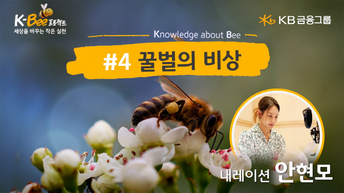 KB금융그룹, 'K-BEE 프로젝트' 영상 캠페인 '꿀벌의 비상' 편 공…
