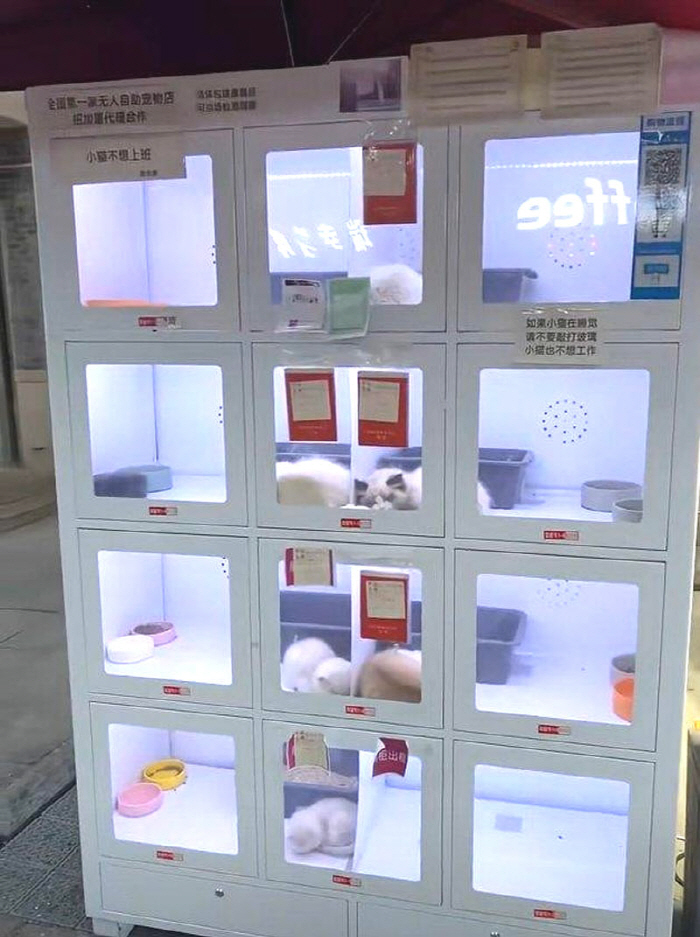 돈 넣으면 셀프 입양?…'살아있는 고양이' 자판기 논란