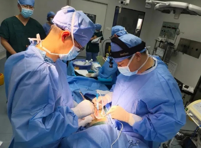 中 세계 최초 돼지 간, 암 환자에 이식 성공…거부 반응 없어