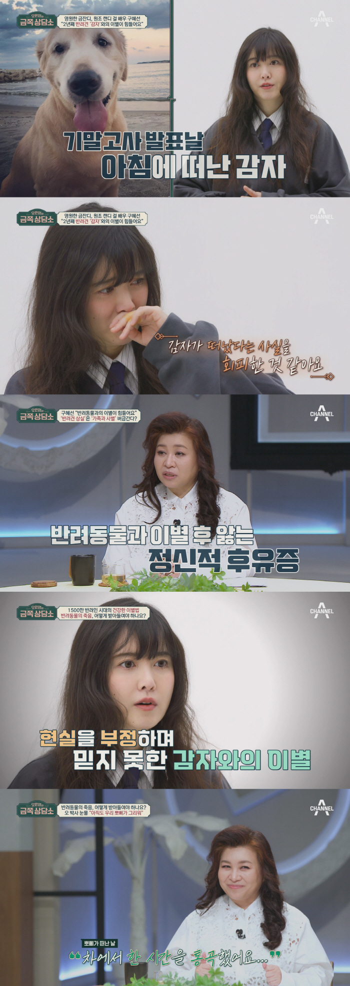 구혜선, 6마리 반려견과 이별 '펫로스증후군' 심각 "죽음 회피했다" (…
