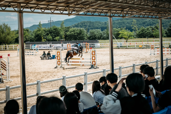 [경마]퇴역경주마들의 성공적인 변신 응원해, 제1회 퇴역경주마 승마대회 …