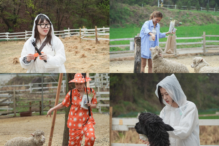 이은지vs이영지 싸움에 등 터지는 나영석('뛰뛰빵빵')