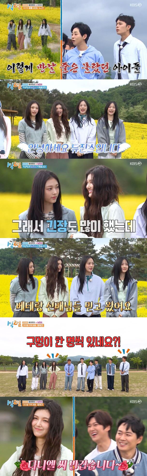 뉴진스, '1박 2일' 찢었다..복불복도 완벽 적응 "또 출연하고파" ('1박2일')[종합]