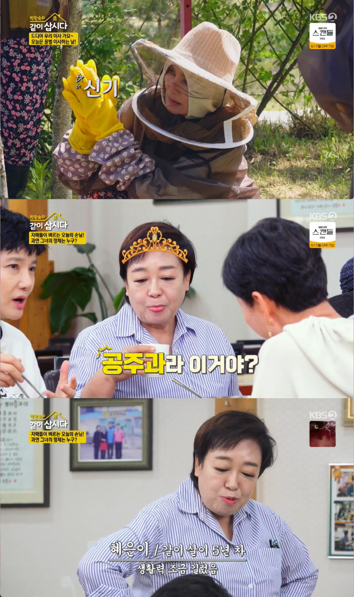박원숙, 75살에 ♥새 출발?..임예진 "소개팅 원하는 남자 많았는데" …