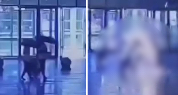 우산 들고 걷던 남성 2명 벼락 맞아…생명엔 지장 없어