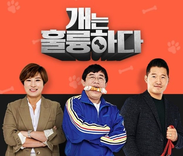 [SC이슈] "결국 강형욱 없이 간다"…KBS '개훌륭', 오늘(17일)…