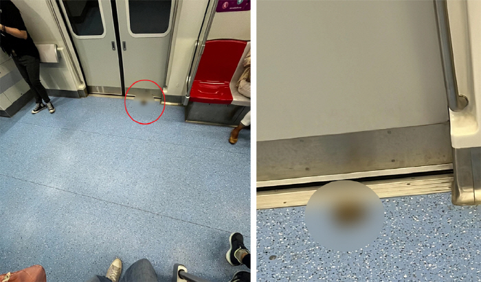 이런 '변'이 있나…지하철 객차 내 '수상한' 냄새 퍼져