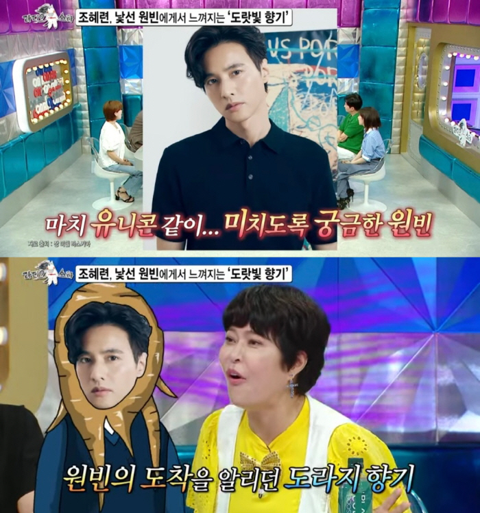 [SC리뷰]원빈, 취향 독특하네…왜 도라지 냄새 나나 했더니, 조혜련 "…