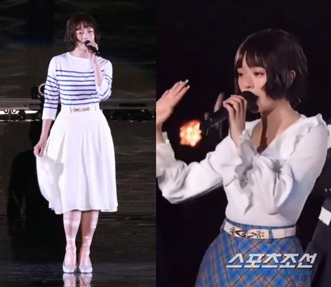 '도쿄돔 뒤흔든' 뉴진스 하니 '푸른 산호초' 다시 부른다[SC이슈]