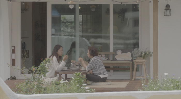 180도 달라진 이효리 "거울 치료 받아"..母도 변했다 ('여행갈래')