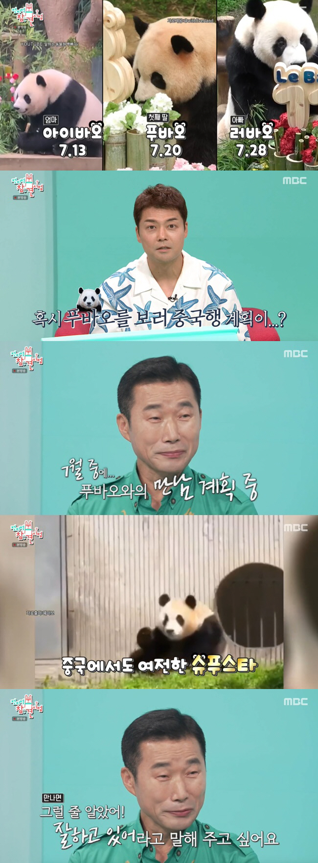 푸바오X강철원 사육사 재회 "中서도 슈퍼스타..잘하고 있다고 격려" ('…