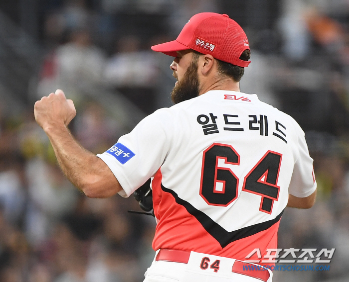 벤자민에 또 당하는데... 제2, 제3, 국내 '벤자민'까지 등장. 2연…