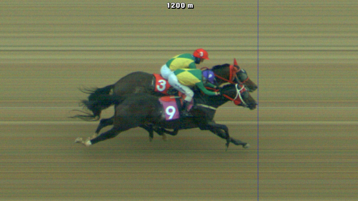 [경마] 한국 경마 최초, 동일 마주의 두 마리 경주마 동순위로 공동 1위 기록