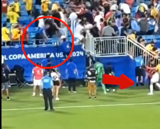 또 사고 친 '인종차별' 벤탄쿠르, 난투극 관중석 향해 물병 투척 논란……