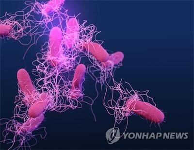 [미 CDC James Archer 제공. 재판매 및 DB 금지]