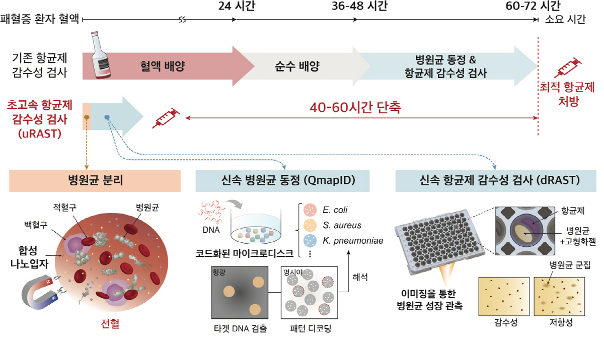 패혈증 치료 혁신 길 열렸다…'초고속 항균제 감수성 검사' 48시간 단축