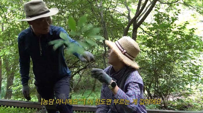 한혜진 母女, 홍천 산에서 '최상급 산삼' 캤다.."부르는 게 값"(한혜…
