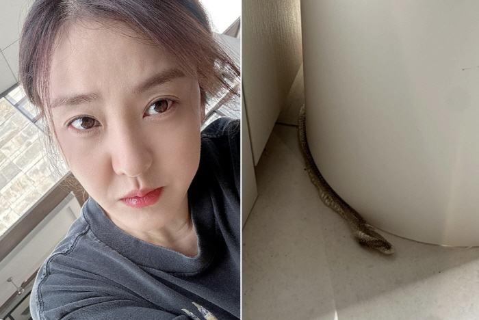 박은혜, 집에 '뱀 출몰' 경악 "119 신고, 소름 끼쳐"[종합]