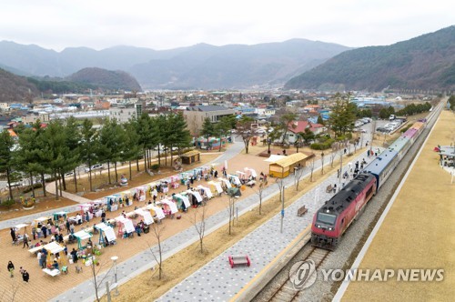 [정선군 제공]