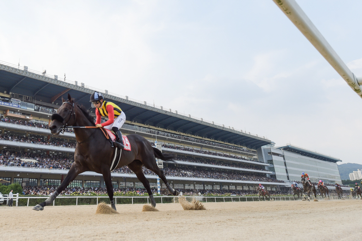 [경마] K경마의 글로벌 축제, 코리아컵&스프린트 3주 앞으로