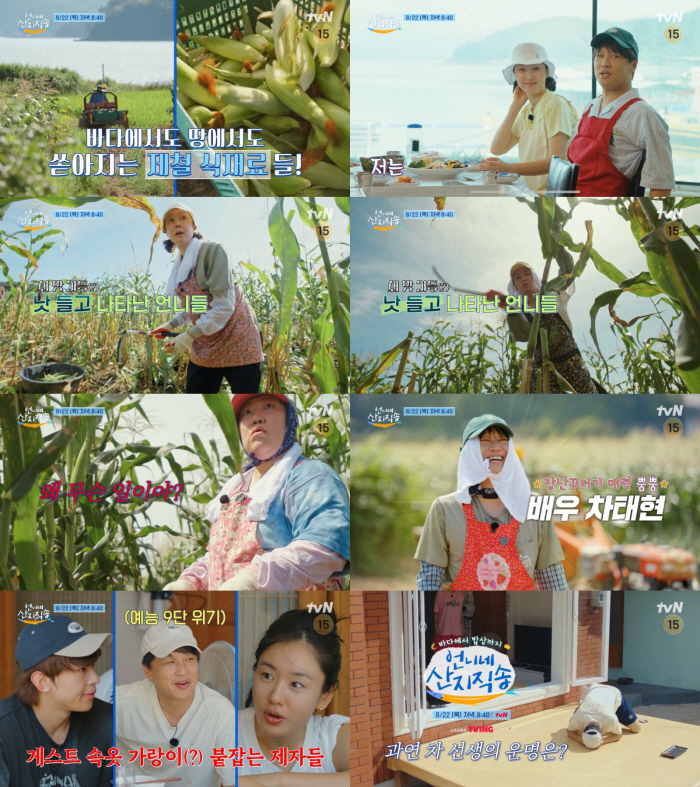 차태현 '언니네' 뜬다 "제작진 준 음식 안먹어" 눈치백단 예능 고수(산…