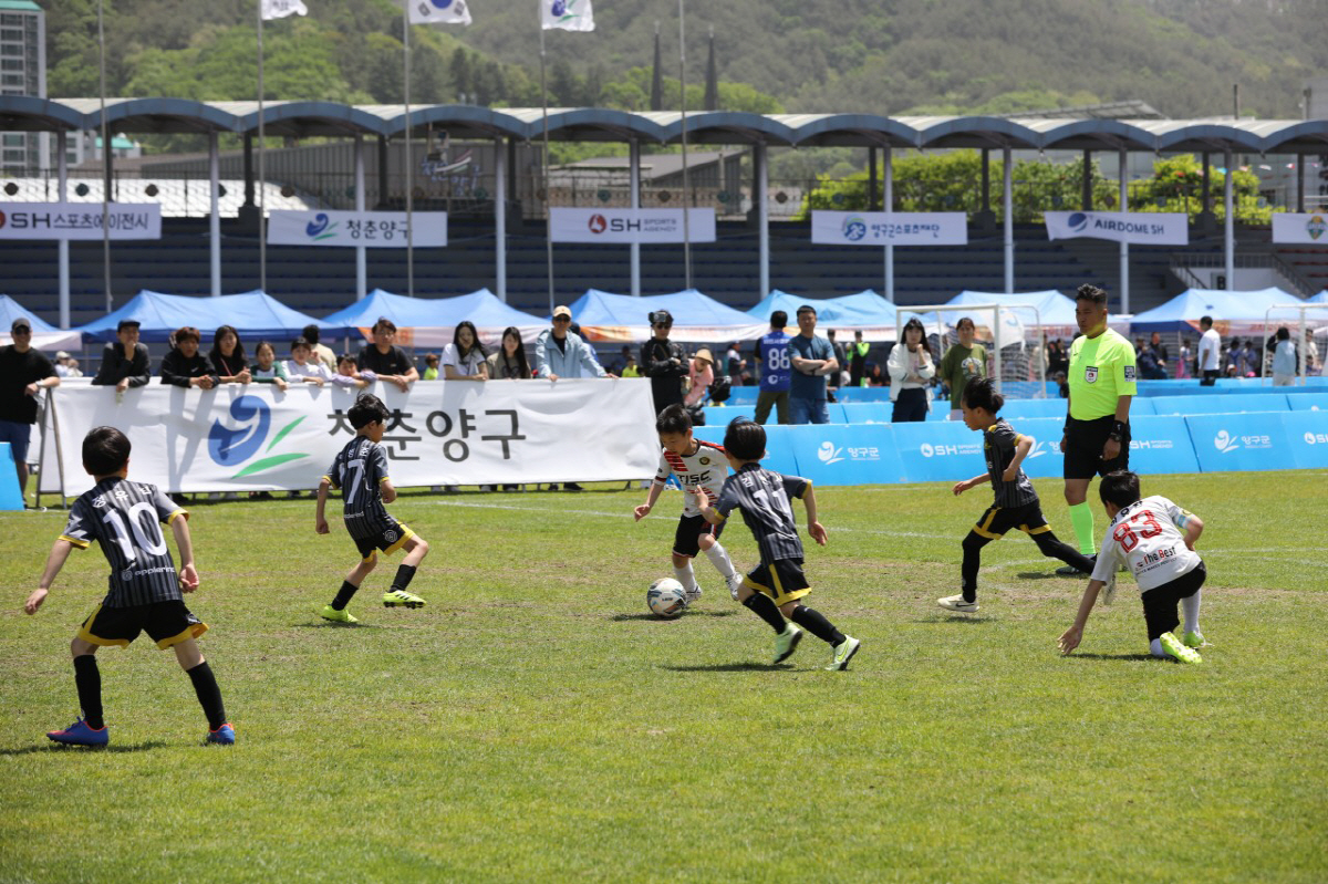 '2024 힐링 양구컵 전국 유소년 축구클럽 페스티벌' 24일 개막, 지…
