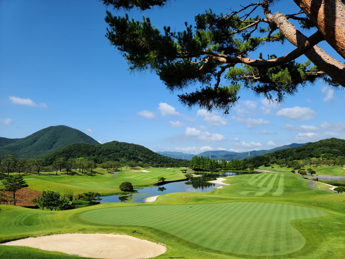'베스트 코스'서 펼쳐질 신설 대회 렉서스 마스터즈, KPGA 새 역사 …