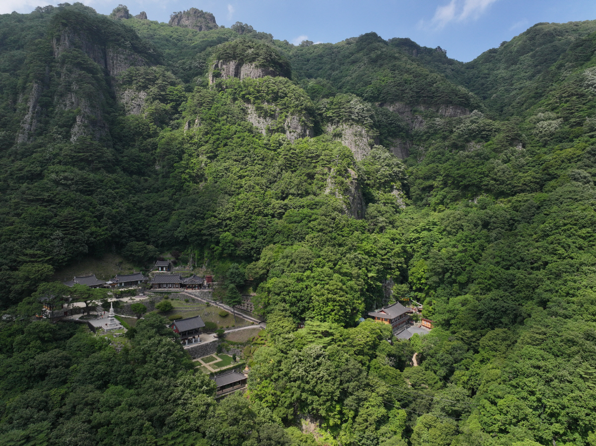 산 좋고, 물 좋은 '영주, 봉화'…계절감 뛰어넘은 자연의 하모니에 '눈…