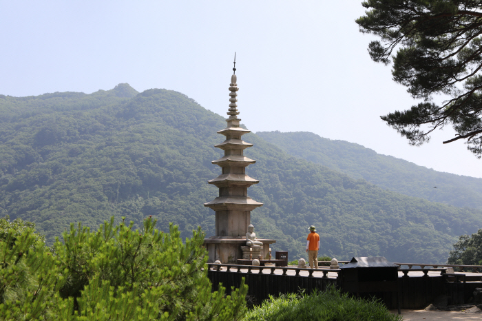 산 좋고, 물 좋은 '영주, 봉화'…계절감 뛰어넘은 자연의 하모니에 '눈…