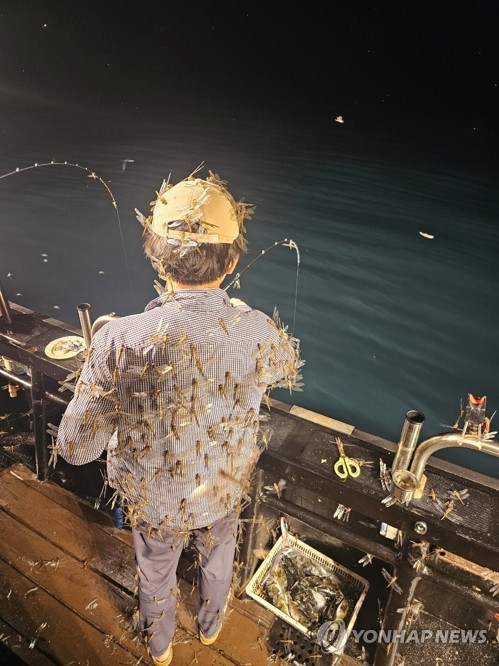 [블레스호 제공.재판매 및 DB금지]