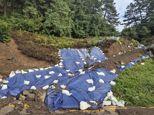 (울릉=연합뉴스) 박세진 기자 = 13일 오전 경북 울릉군 사동리 한 사면이 폭우로 토사가 내려 앉았다. 2024.9.13 psjpsj@yna.co.kr