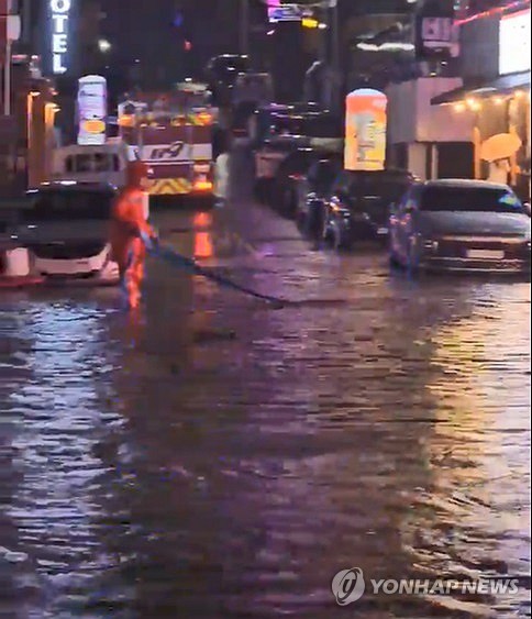 (서산=연합뉴스) 호우경보가 발령된 충남 서산에 지난 20일부터 21일 오전 5시까지 249㎜의 물 폭탄이 쏟아진 가운데 서산시 읍내동 저지대 도로가 물에 잠겨 있다. 2024.9.21 [독자 제공. 재판매 및 DB 금지] cobra@yna.co.kr