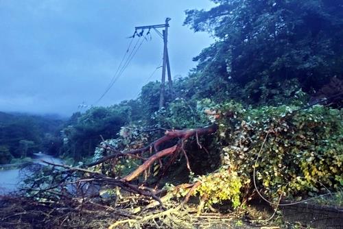 [독자 제공. 재판매 및 DB 금지]