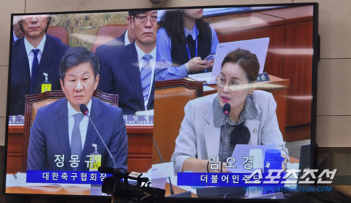 "홍명보 감독에게 진실 말할 기회" 준 '우생순'임오경 의원,스포츠에 대…
