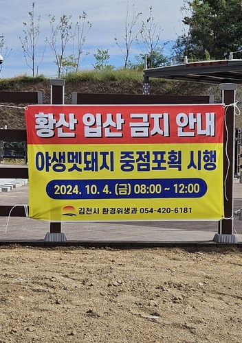 [김천소식] 황산 야생 멧돼지 포획 4일 예정…"오전 입산 통제"